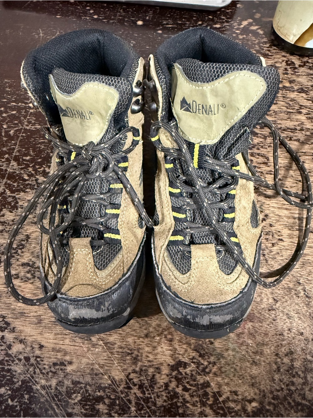 Denali Kids' Brown Hiking Boots - Waterproof Trail Shoes